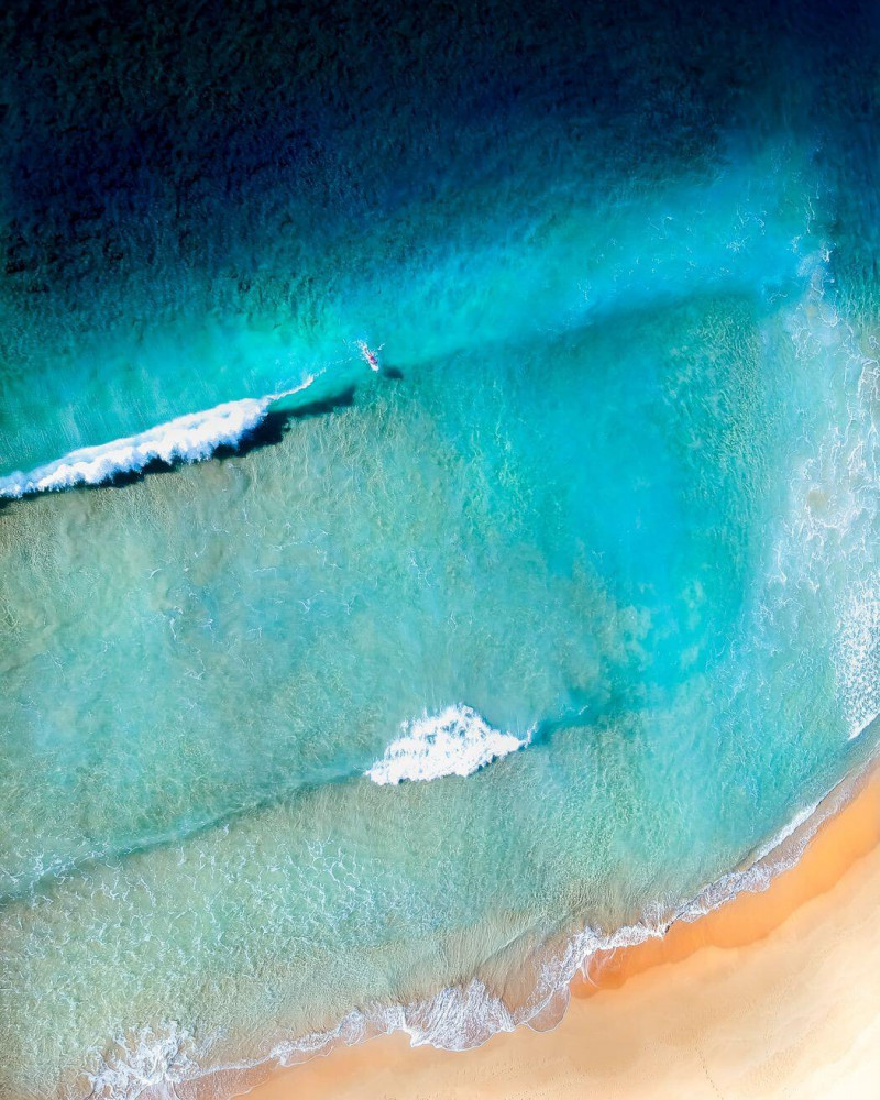 A lone surfer in the waves near the beach