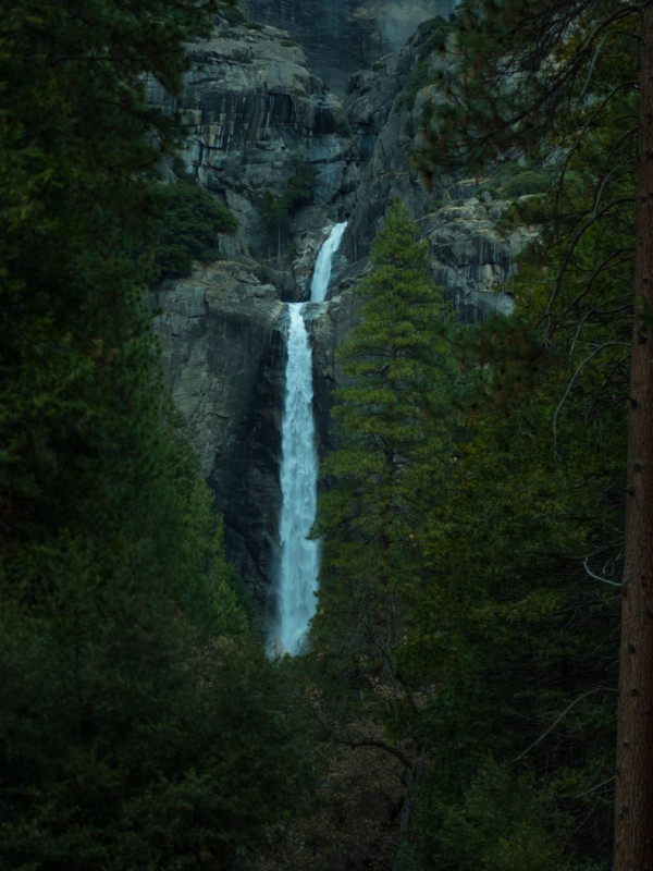 A waterfall in the forest