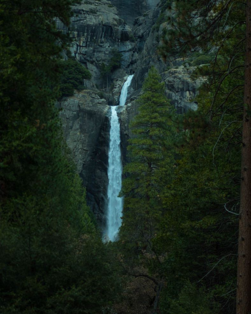 A waterfall in the forest